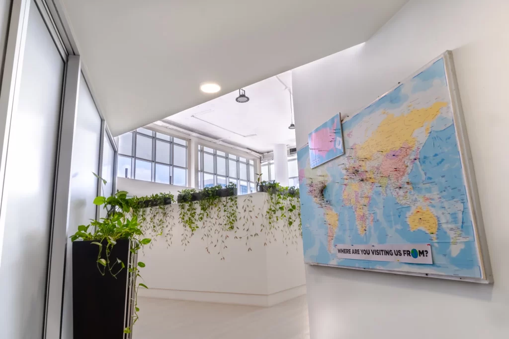 Cancun Cosmetic Dentistry (CCD) — photo 2