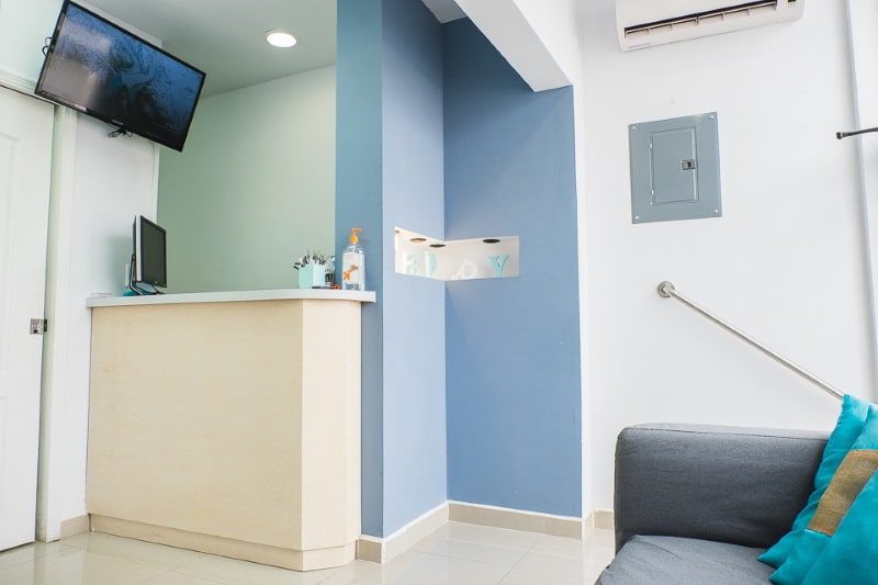 Dental Solutions — photo 3