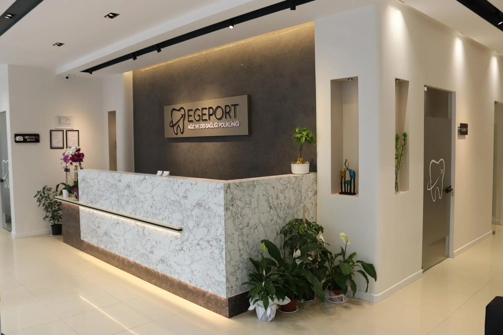 Egeport Dental Clinic