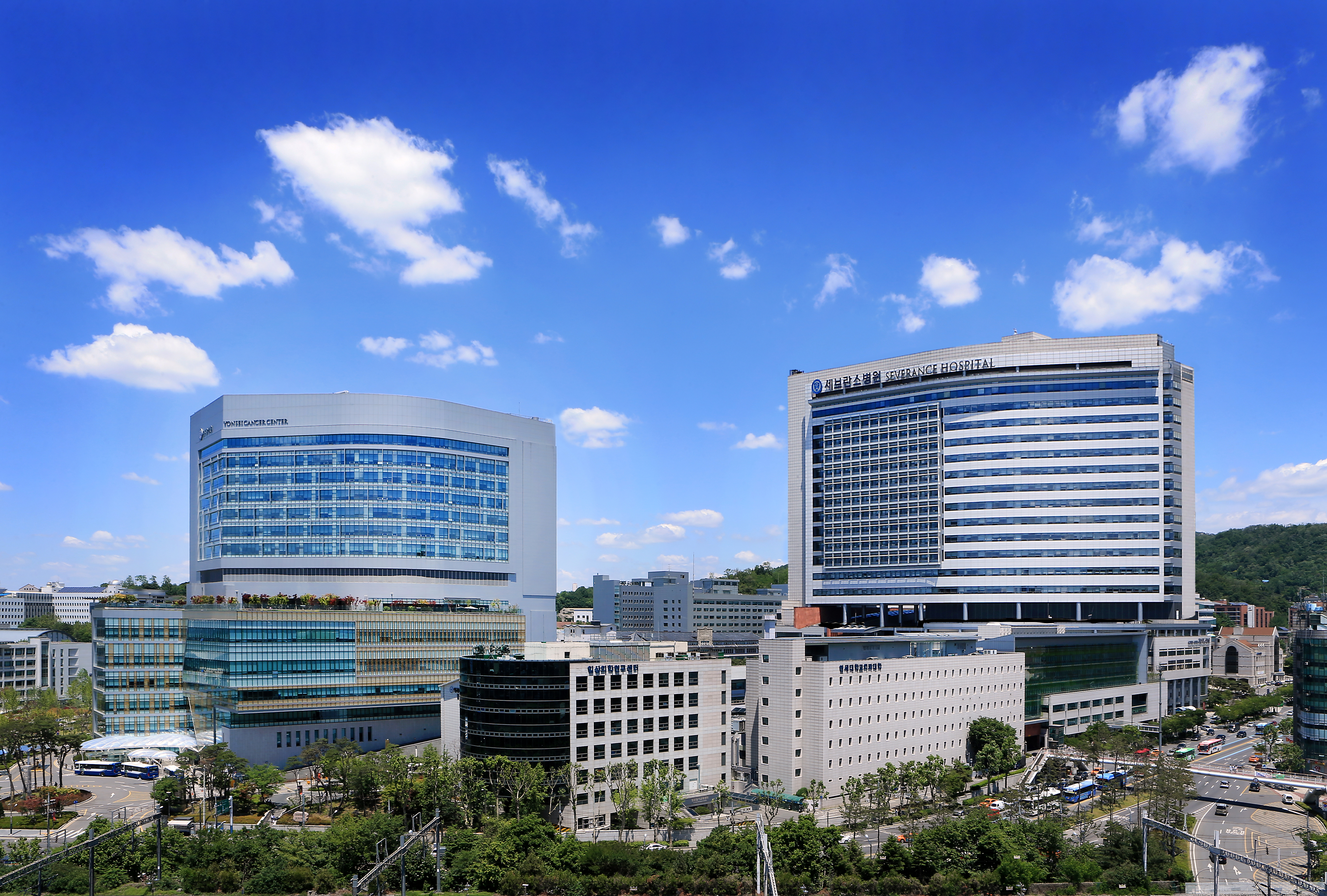 Severance Hospital Health Screening (Yonsei)