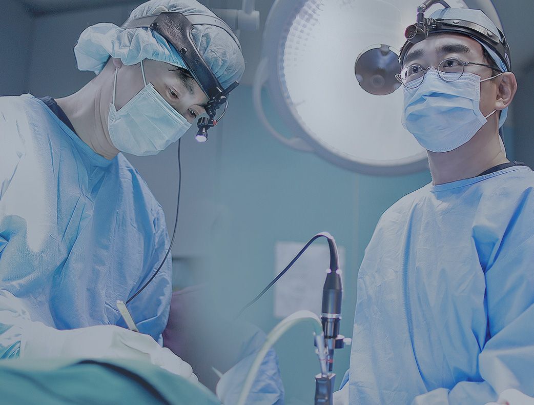 THE Plastic Surgery