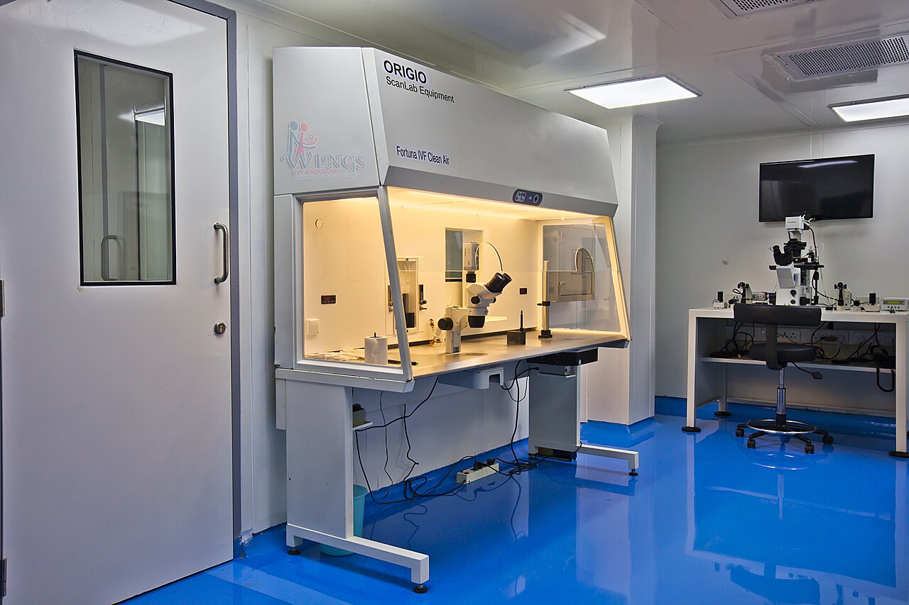 IVF (In Vitro Fertilisation) · Turkey